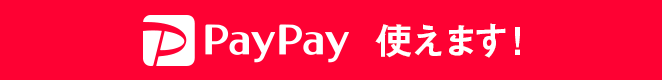 PayPayg܂I